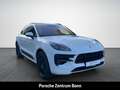 Porsche Macan GTS Panoramadach Sportabgas Rückfahrkamera Wit - thumbnail 3
