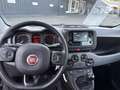 Fiat Panda Hybrid**Tech Paket** Grau - thumbnail 11