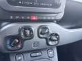 Fiat Panda Hybrid**Tech Paket** Grau - thumbnail 13