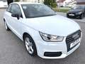 Audi A1 design Sitzhzng HU + Service neu Allwetter Weiß - thumbnail 3