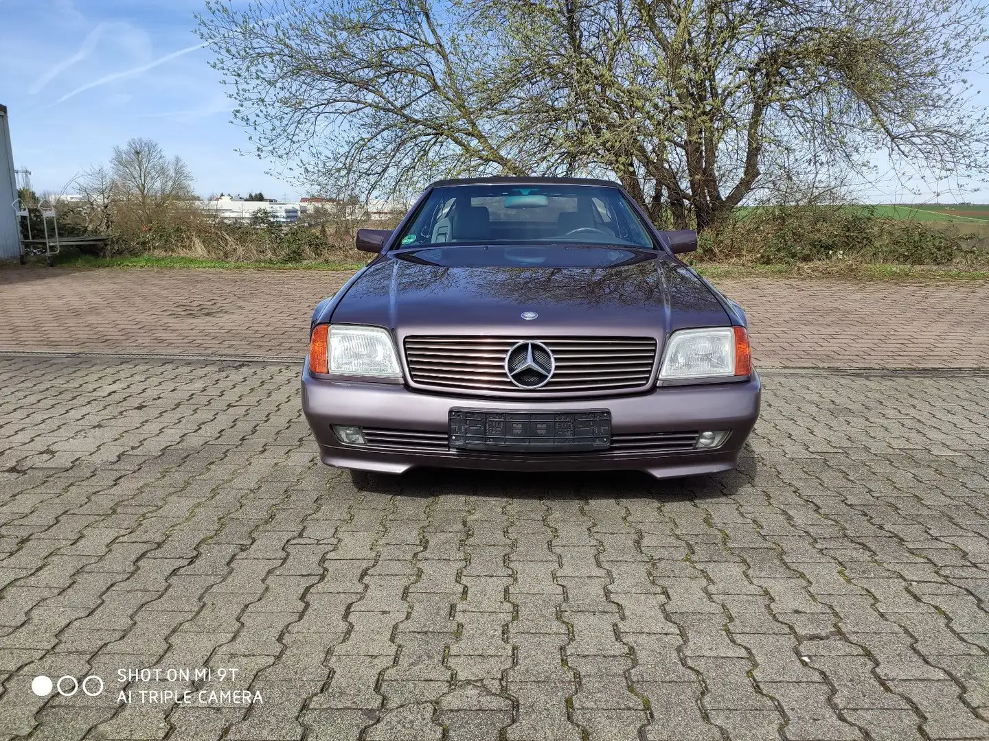 Mercedes-Benz SL 300 24 V Hardtop Фиолетовый - 1