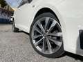 SEAT Ibiza 1.4 TDI CR 90CV FR Bianco - thumbnail 2