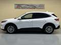 Ford Kuga 2.0 EcoBlue MEHV ST-Line FWD 150 Blanc - thumbnail 8