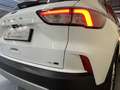 Ford Kuga 2.0 EcoBlue MEHV ST-Line FWD 150 Blanc - thumbnail 33