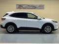 Ford Kuga 2.0 EcoBlue MEHV ST-Line FWD 150 Blanc - thumbnail 4