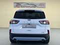 Ford Kuga 2.0 EcoBlue MEHV ST-Line FWD 150 Blanc - thumbnail 6
