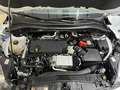 Ford Kuga 2.0 EcoBlue MEHV ST-Line FWD 150 Blanc - thumbnail 35