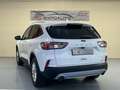 Ford Kuga 2.0 EcoBlue MEHV ST-Line FWD 150 Blanc - thumbnail 7