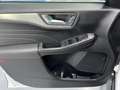Ford Kuga 2.0 EcoBlue MEHV ST-Line FWD 150 Blanc - thumbnail 15