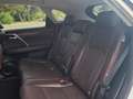 Lexus RX 450h Luxury Blanco - thumbnail 16