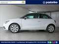 Audi A1 1.6 TDI AMBITION 105CV Bianco - thumbnail 6