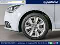 Audi A1 1.6 TDI AMBITION 105CV Bianco - thumbnail 5