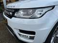 Land Rover Range Rover Sport 3.0 TDV6 HSE Dynamic Nieuwstaat! Wit - thumbnail 6