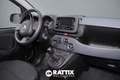 Fiat Panda 1.0 Firefly Hybrid 70CV Wit - thumbnail 14