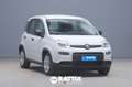 Fiat Panda 1.0 Firefly Hybrid 70CV Wit - thumbnail 1