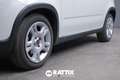 Fiat Panda 1.0 Firefly Hybrid 70CV Wit - thumbnail 5