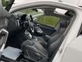 Audi Q3 35 TDi 150 Cv - S line S tronic Wit - thumbnail 7