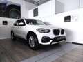 BMW X3 (G01/F97) - X3 xDrive20d 48V Business Advantage Alb - thumbnail 1