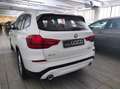 BMW X3 (G01/F97) - X3 xDrive20d 48V Business Advantage Alb - thumbnail 6