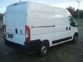 Fiat Ducato Hochr.-Kasten 33 120 L2H2 49180Km Klima Weiß - thumbnail 7