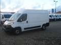 Fiat Ducato Hochr.-Kasten 33 120 L2H2 49180Km Klima Weiß - thumbnail 1