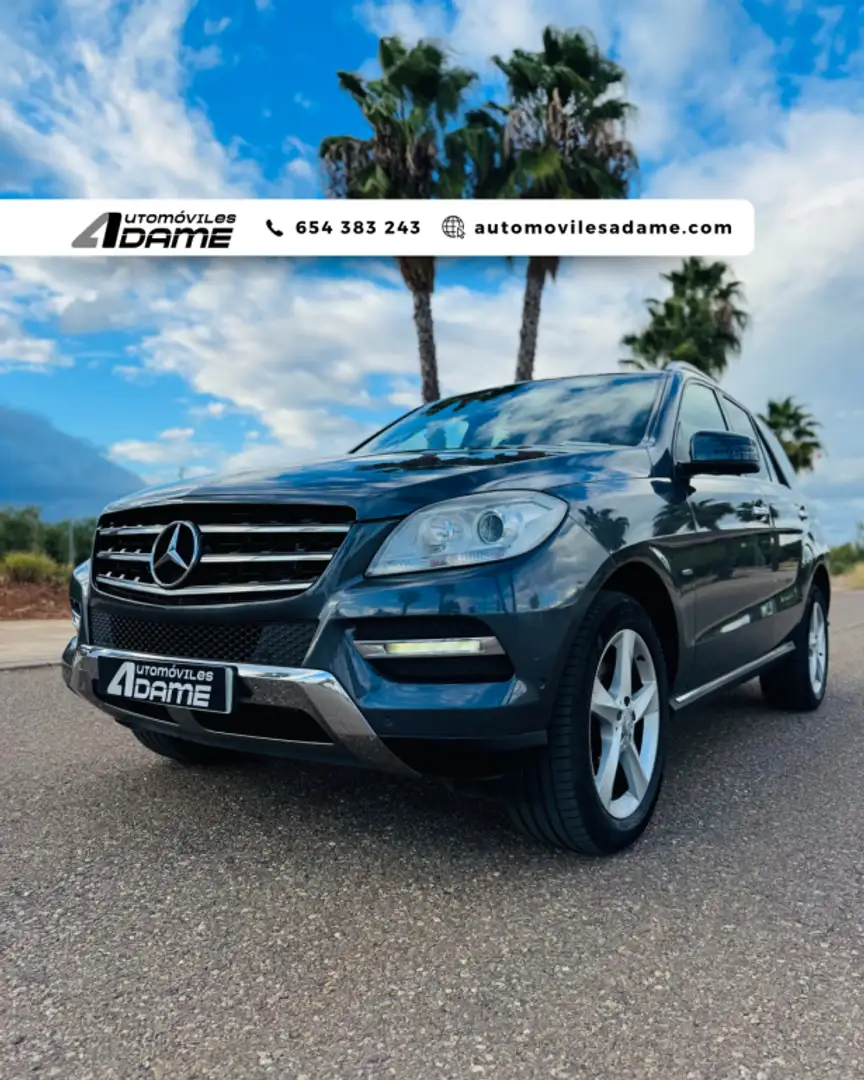 Mercedes-Benz ML 250 250BlueTec 4M 7G Plus Gris - 1