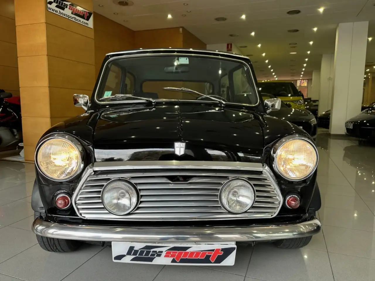 Mini 1000, foto 2