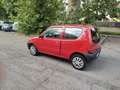 Fiat 600 1.1 Active (class) Red - thumbnail 9