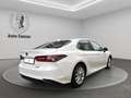 Toyota Camry Camry 2,5 Hybrid Business Aut. Business Weiß - thumbnail 11