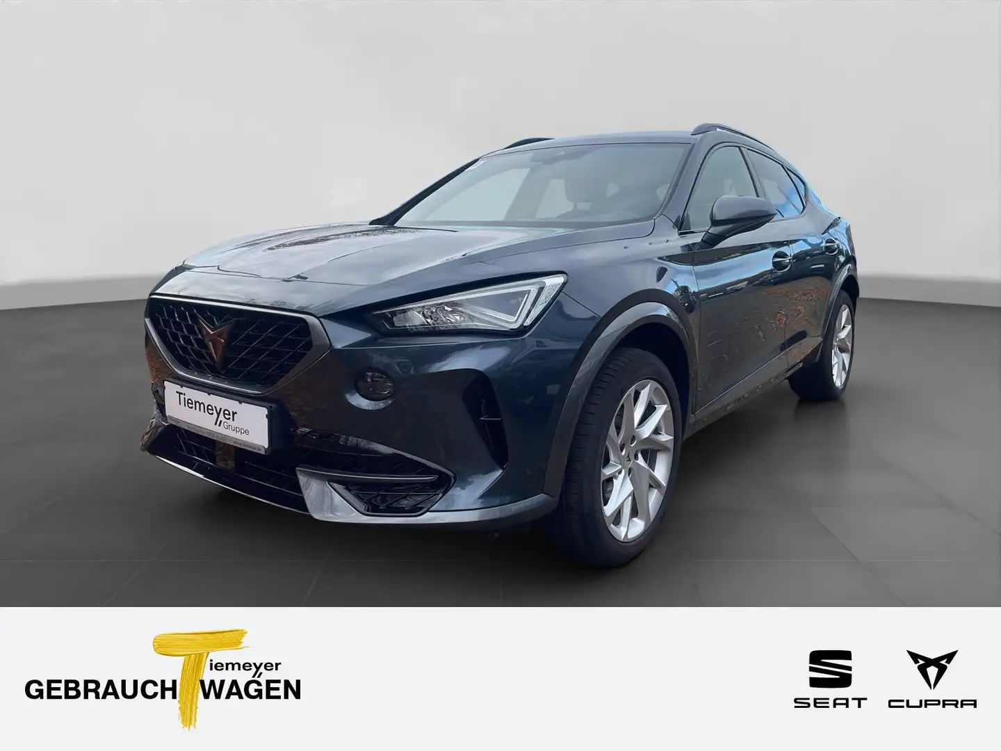 CUPRA Formentor 1.5 TSI LM18 BEATS CLIMATRONIC SITZHZ Grau - 1