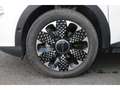 Fiat 600 Fiat 600 1.2 Hybrid - 100 - BV DCT  2023 BERLINE L Blanc - thumbnail 16