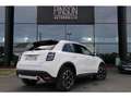 Fiat 600 Fiat 600 1.2 Hybrid - 100 - BV DCT  2023 BERLINE L Blanc - thumbnail 6