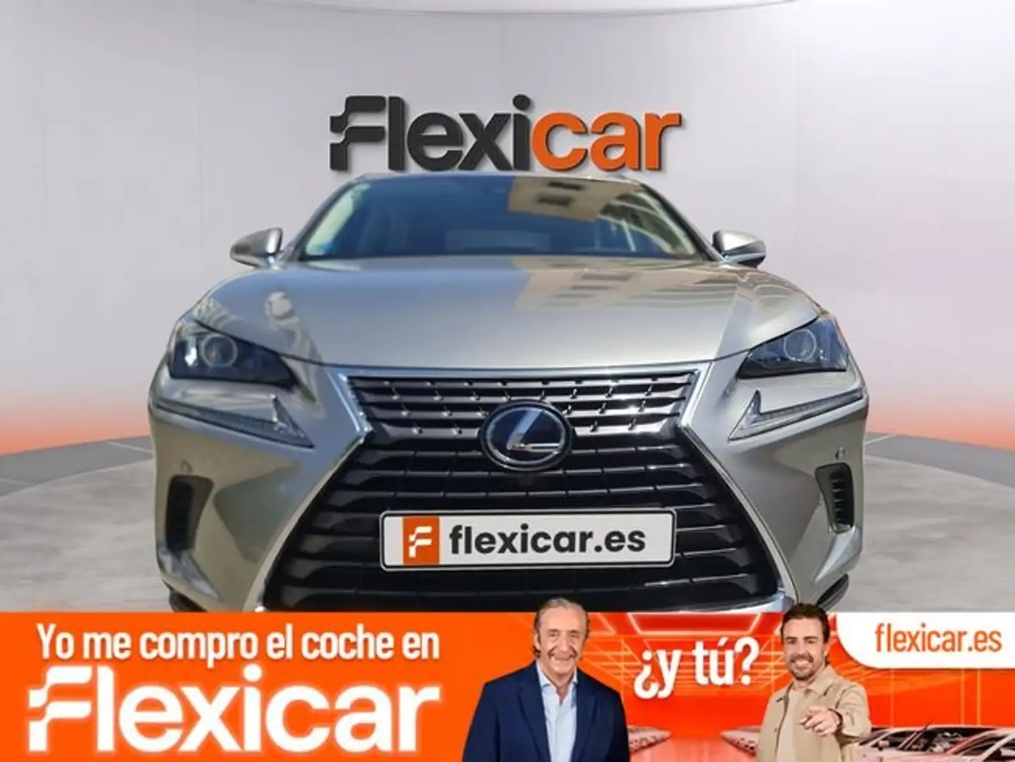 Lexus NX 300 300h Business 2WD Gris - 1