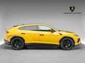 Lamborghini Urus Performante Gelb - thumbnail 25