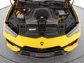 Lamborghini Urus Performante Gelb - thumbnail 28