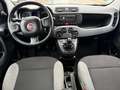 Fiat Panda 1.0 Gse Cross Hybrid Negro - thumbnail 12