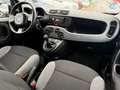 Fiat Panda 1.0 Gse Cross Hybrid Negro - thumbnail 11