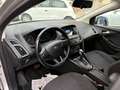 Ford Focus Focus SW 1.5 tdci Business s NAVI Argent - thumbnail 9