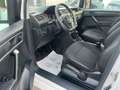 Volkswagen Caddy Maxi 4 MOTION SORTIMO REGALLE GROSS/AHK Weiß - thumbnail 15