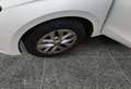 Skoda Fabia Ambition 1,0 TSI Weiß - thumbnail 5