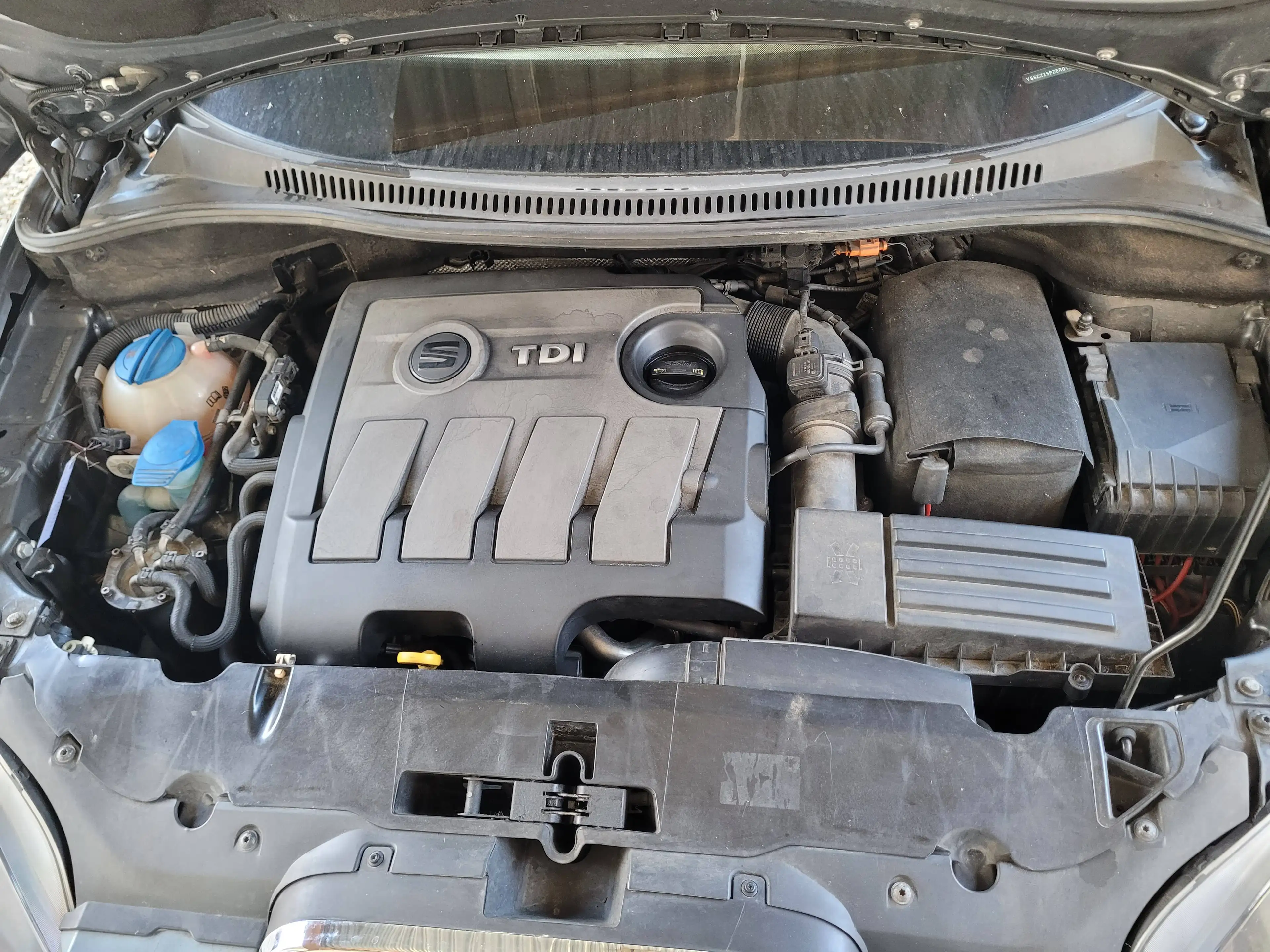 SEAT Altea XL 4You — photo 14