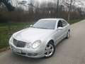 Mercedes-Benz E 320 Avantgarde 4MATIC CDI Aut. *EVO* Silber - thumbnail 3