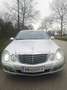 Mercedes-Benz E 320 Avantgarde 4MATIC CDI Aut. *EVO* Silber - thumbnail 2