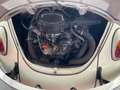 Volkswagen Käfer Bílá - thumbnail 5