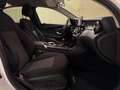 Mercedes-Benz C 200 BlueTEC Weiß - thumbnail 13