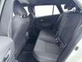 Toyota Corolla Touring Sports 1.8 HYBRID TREK | TWO TONE | TREKHA Wit - thumbnail 12