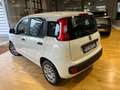 Fiat Panda Panda III  1.2 Easy Wit - thumbnail 9