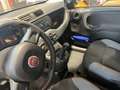 Fiat Panda Panda III  1.2 Easy Wit - thumbnail 12