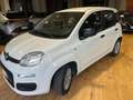 Fiat Panda Panda III  1.2 Easy Wit - thumbnail 7