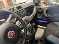 Fiat Panda Panda III  1.2 Easy Wit - thumbnail 13